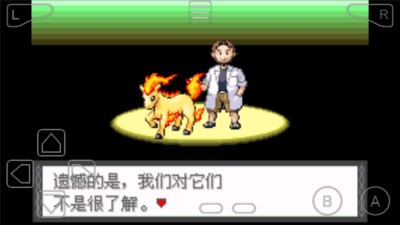 口袋妖怪夜之祭灵截图
